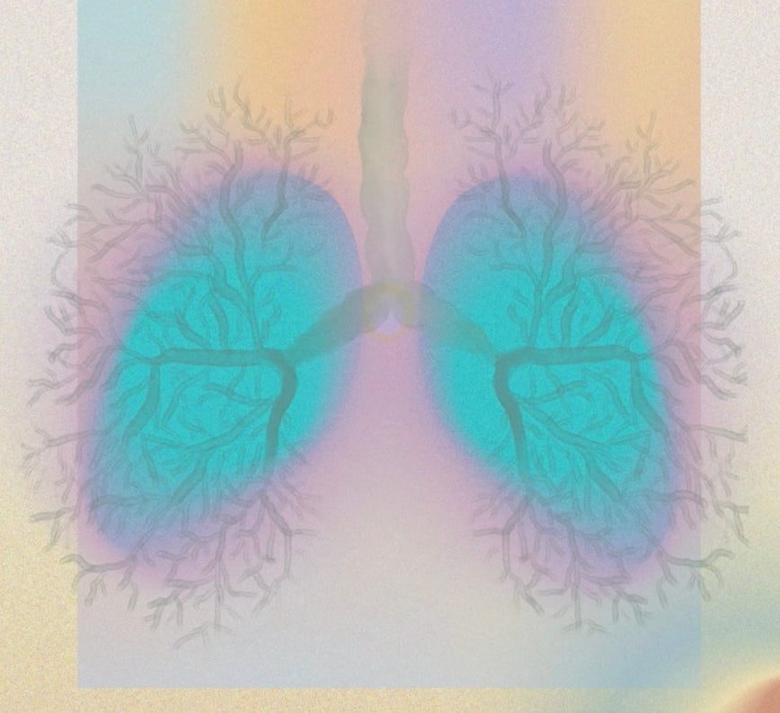 TTM対話録#10<br>呼吸対談<br>瞑想家 佐々木依里　<後編>