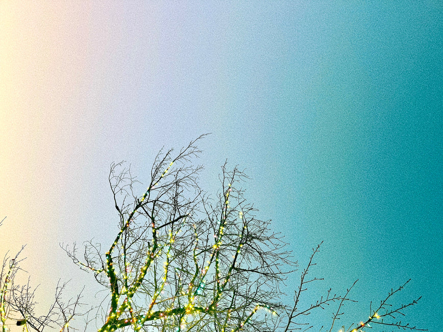 2024年の占星術による考察 by 淡の間