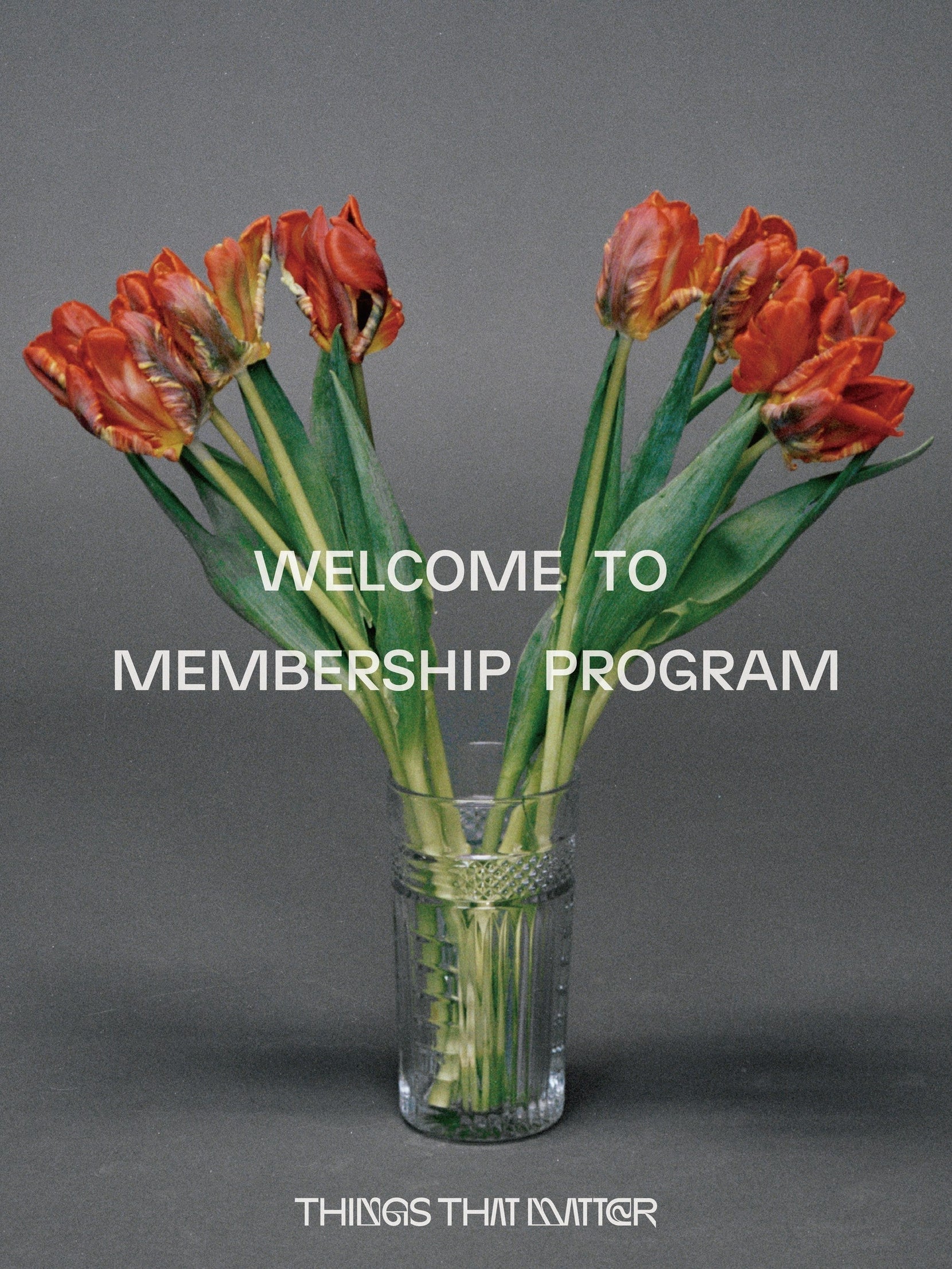 MEMBERS<br> PROGRAM