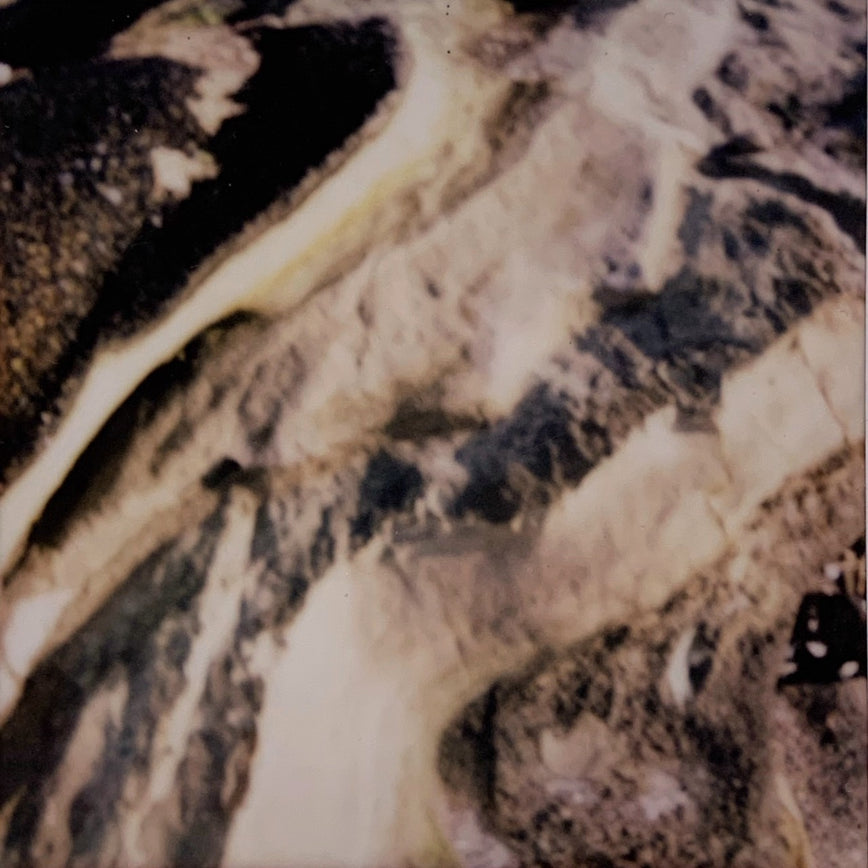 淡の間と武笠綾子の<br>感覚問答<br>#03　自分に還る、アーシング編