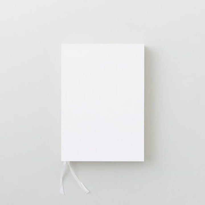 aynoma plain diary 2026