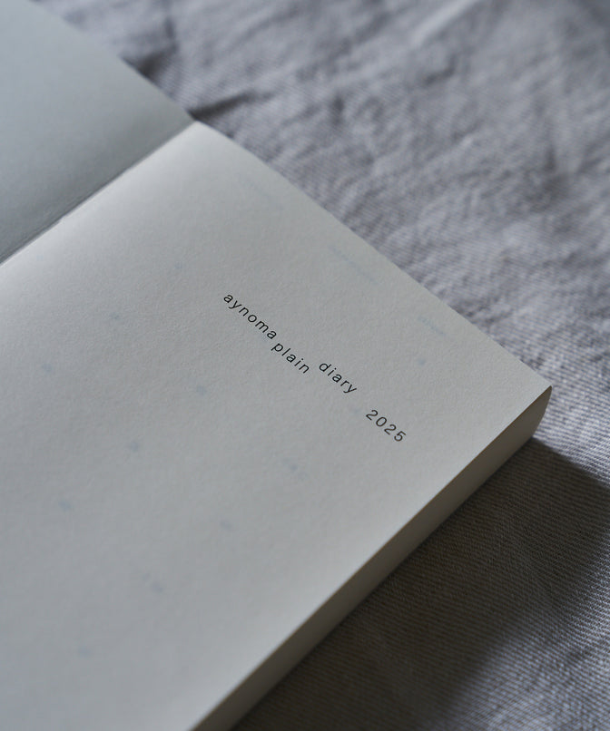 aynoma plain diary 2025 + 