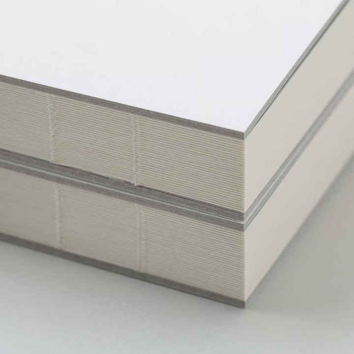 aynoma plain diary 2026