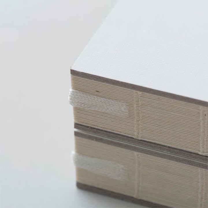 aynoma plain diary 2026