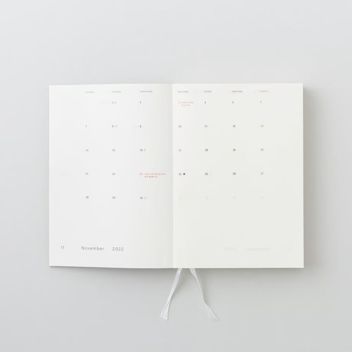 aynoma plain diary 2024