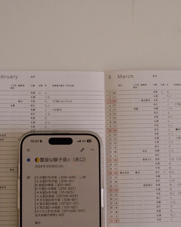 aynoma plain diary 2024