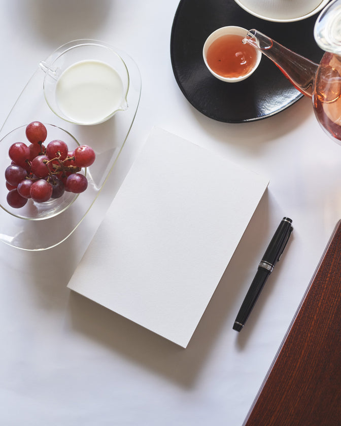 aynoma plain diary 2026