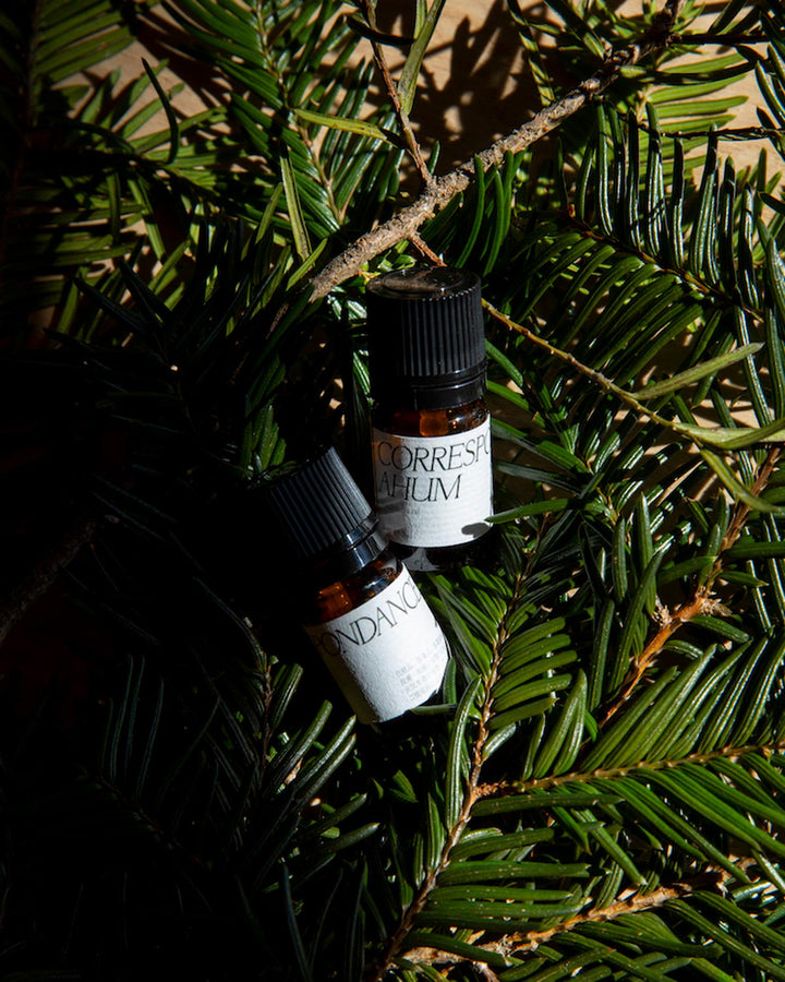 CORRESPONDANCES AHUM：Meditation Oil